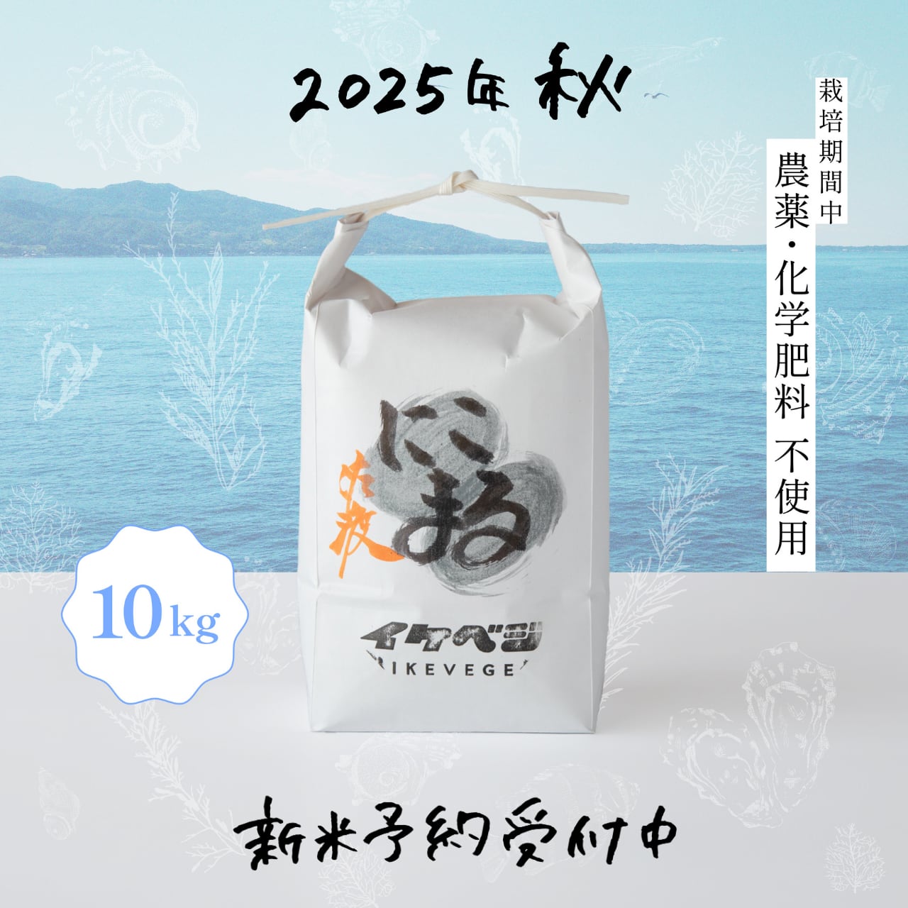 にこまる 10kg×2 農薬不使用 玄米 国産 農家直送 美容 健康 無添加