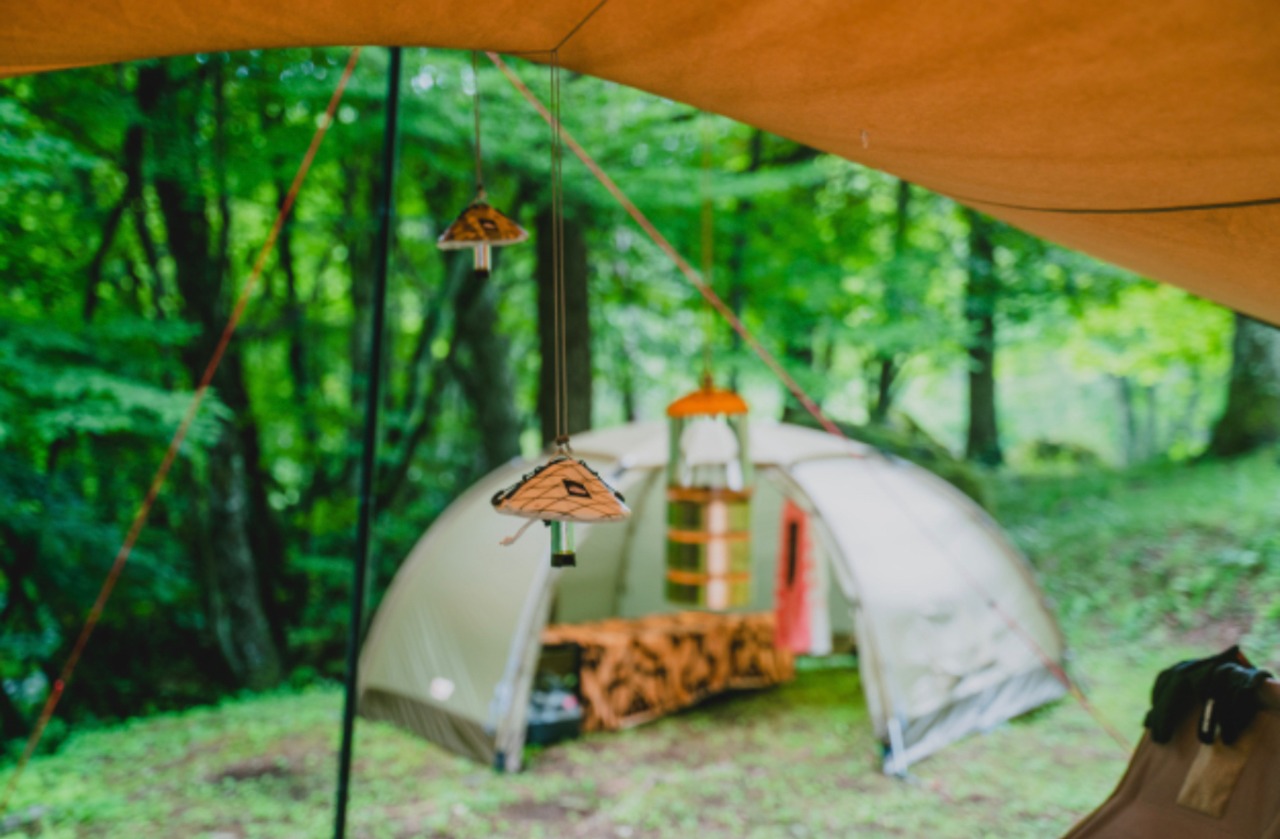 MICRO CARABINER 40-80