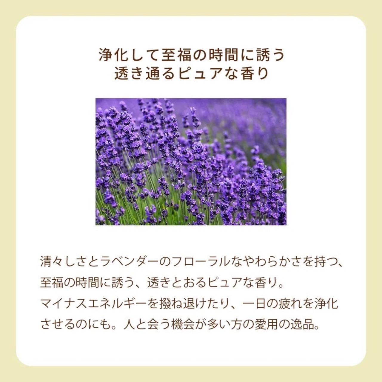 オーガニック香水 ピュアトリートメントパフューム 25ml バイオレット 〜日本の黒文字とラベンダーの香り〜　天然石アメシスト入り