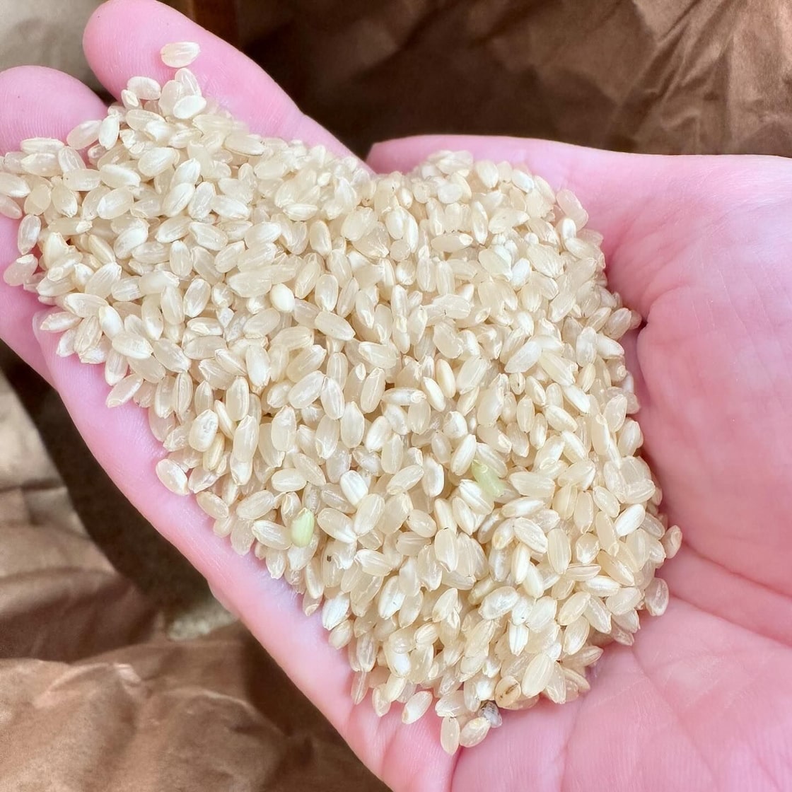 無農薬栽培米】宮城県大崎市 令和7年産ササニシキ玄米5kg | PAY ID