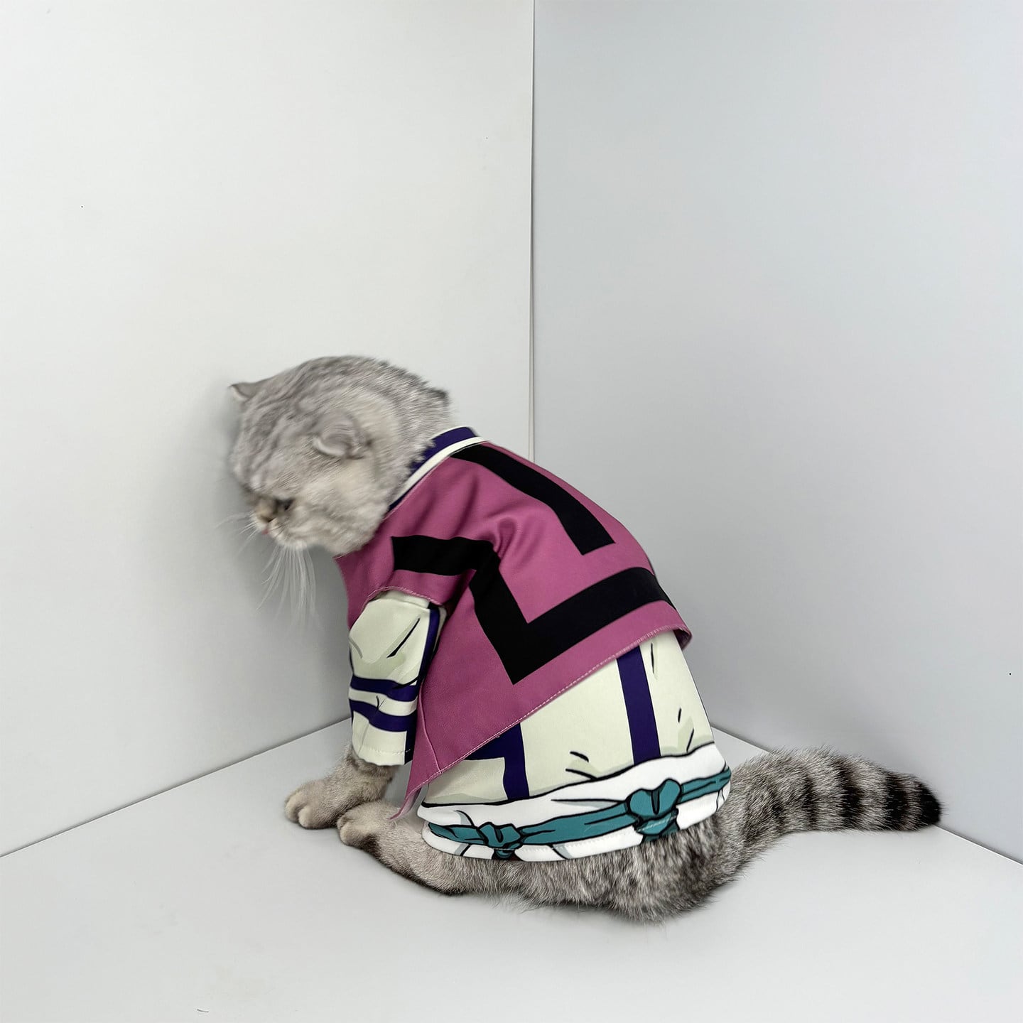 猗窩座 服装 鬼滅の刃 猗窩座のイメージパーカーが発売