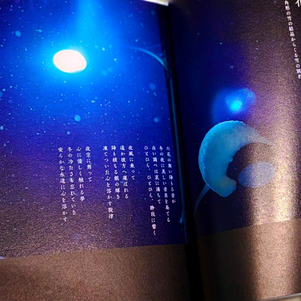 一生忘れられない言の葉図鑑 気持ちを言語化する美しい詩と写真