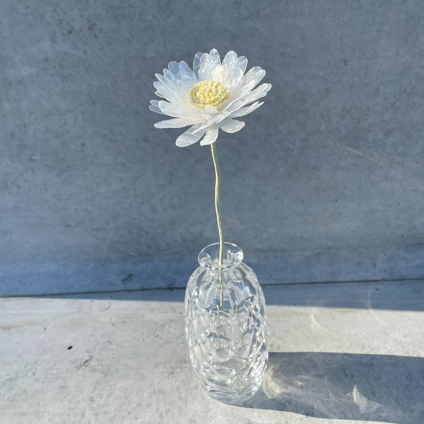 Gerbera | octangle［オクタングル］ 公式サイト | アップサイクルブランド