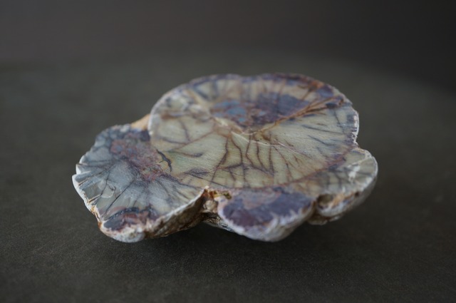 コールドマウンテン・サンダーエッグ Cold Mountain Thunderegg 2364