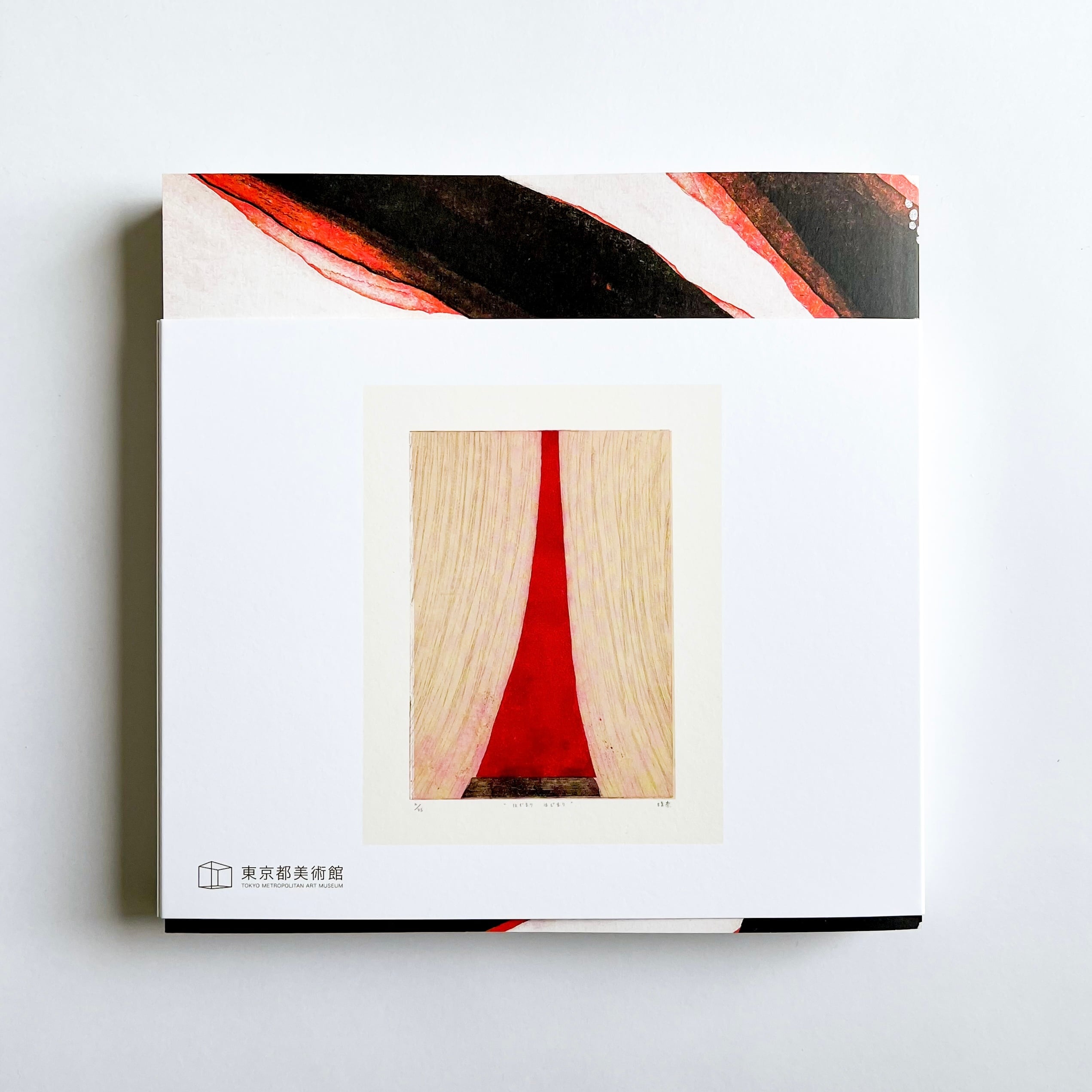 うえののそこから「はじまり、はじまり」荒木珠奈 展」 図録（上・下巻