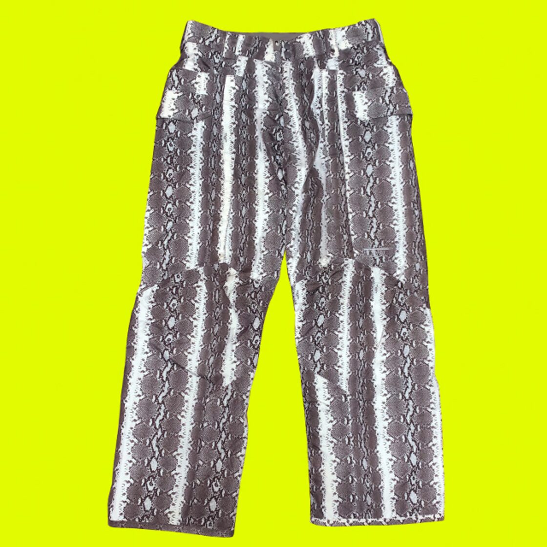 BURTON RONIN SNAKE PATTERN SNOW PANTS バートン ローニン 蛇柄