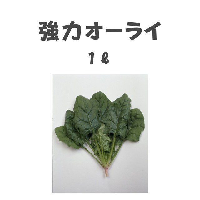 強力オーライ　ホウレンソウ種子・1L