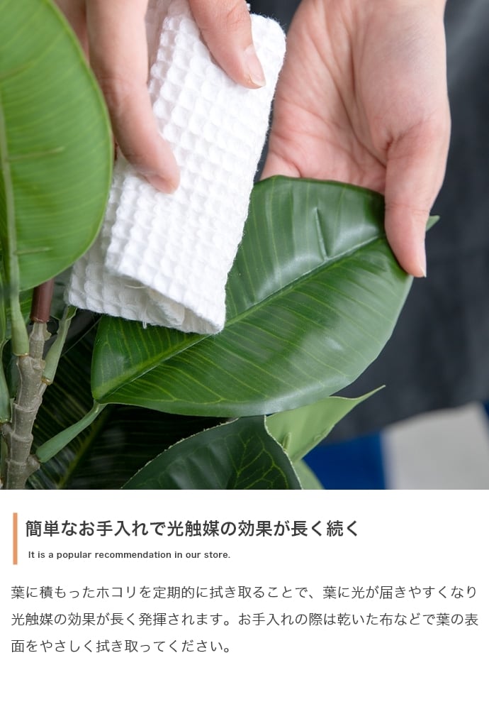 観葉植物 カポック フェイクグリーン 光触媒人工観葉植物 高さ90cm