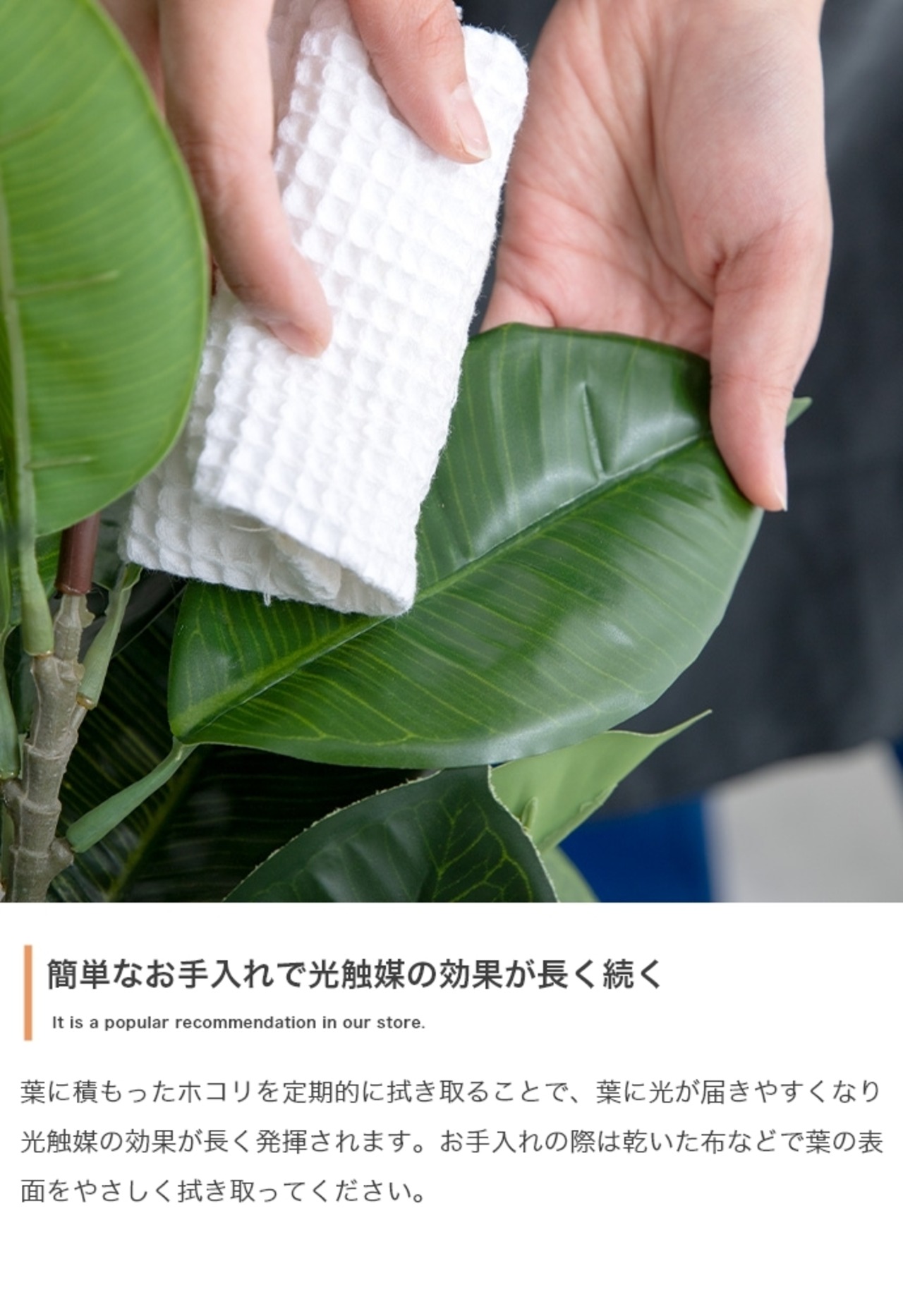 観葉植物 カポック フェイクグリーン 光触媒人工観葉植物 高さ90cm