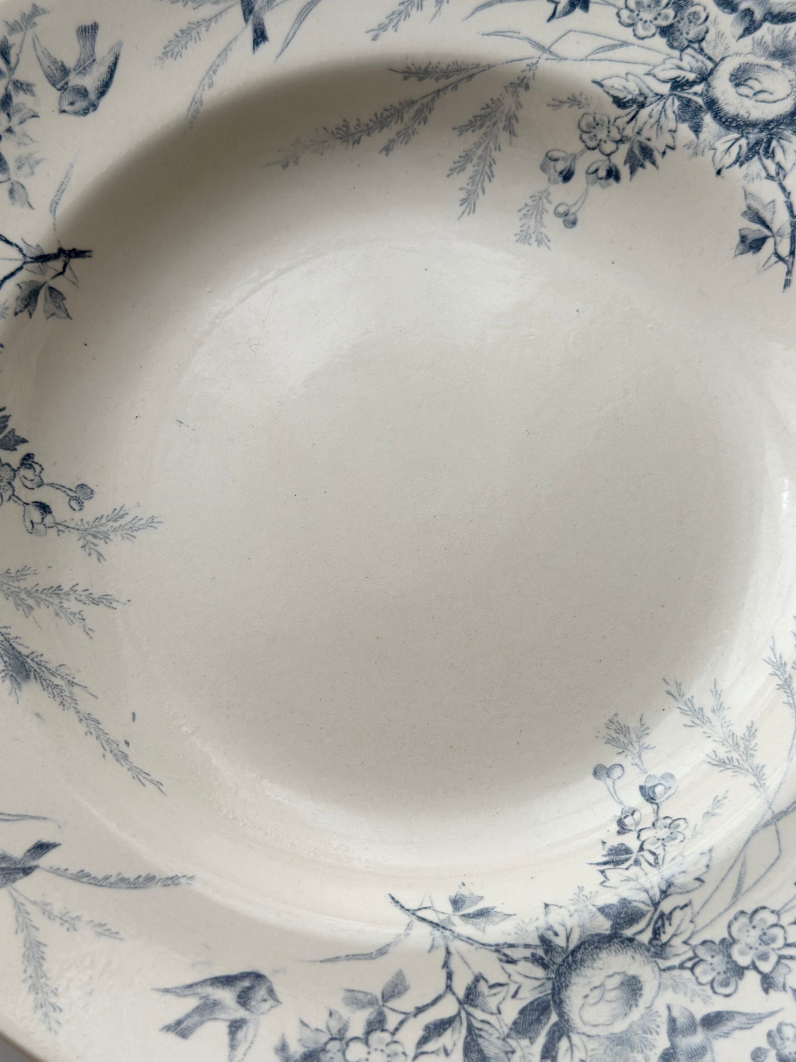 Creil et Montereau クレイユモントロー / “LINOTTE” blue 深皿