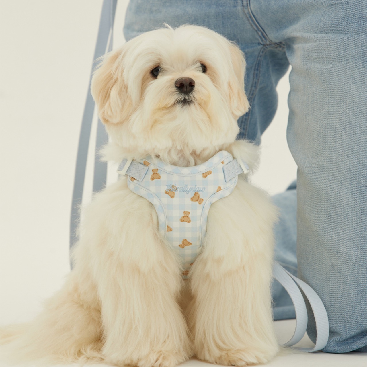 【予約】[ thesallyslaw ] Bailey cushioning harness｜Powder Blue Check - 16