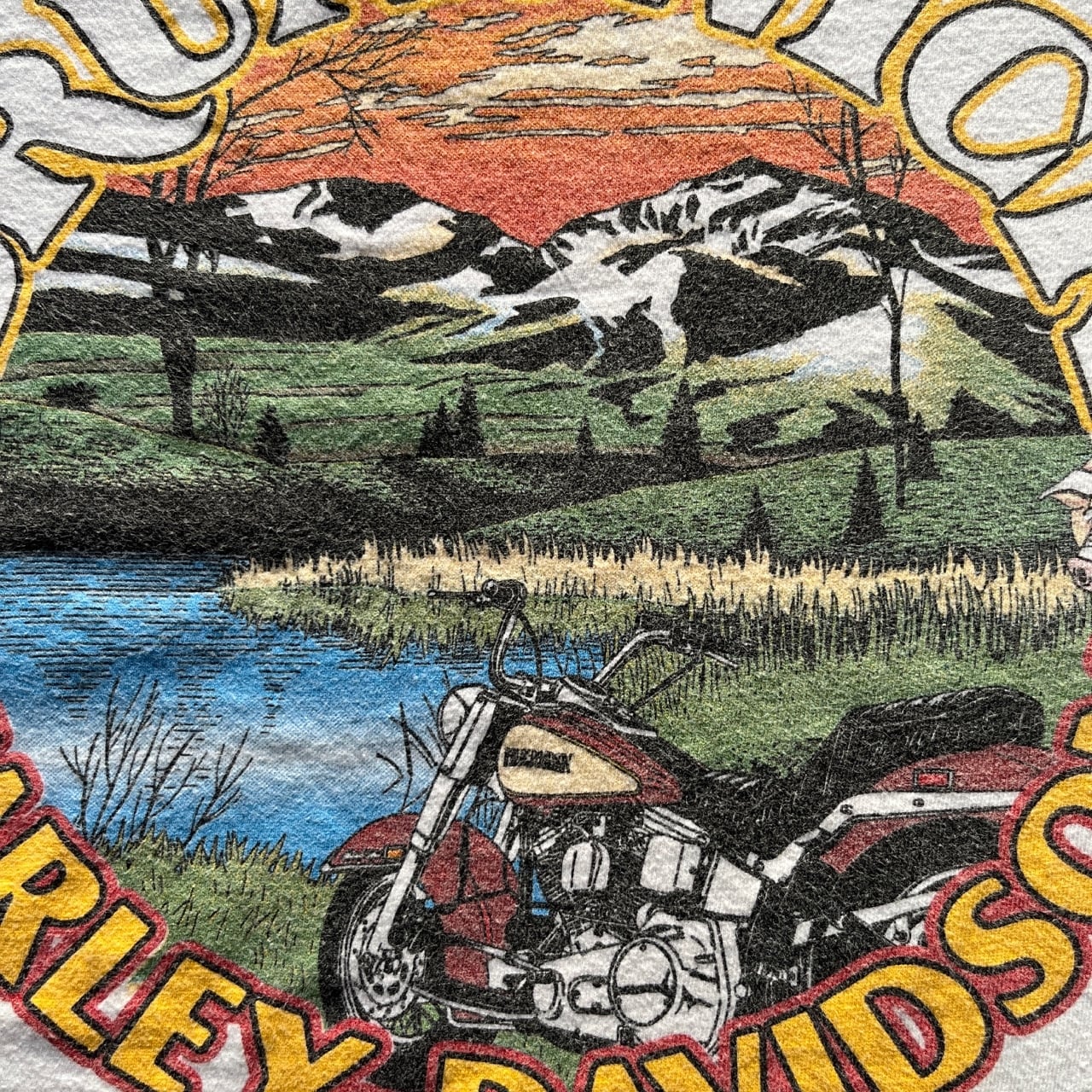 Harley Davidson 2001 USA Flag Flame L/S Tee | Vintage High Line