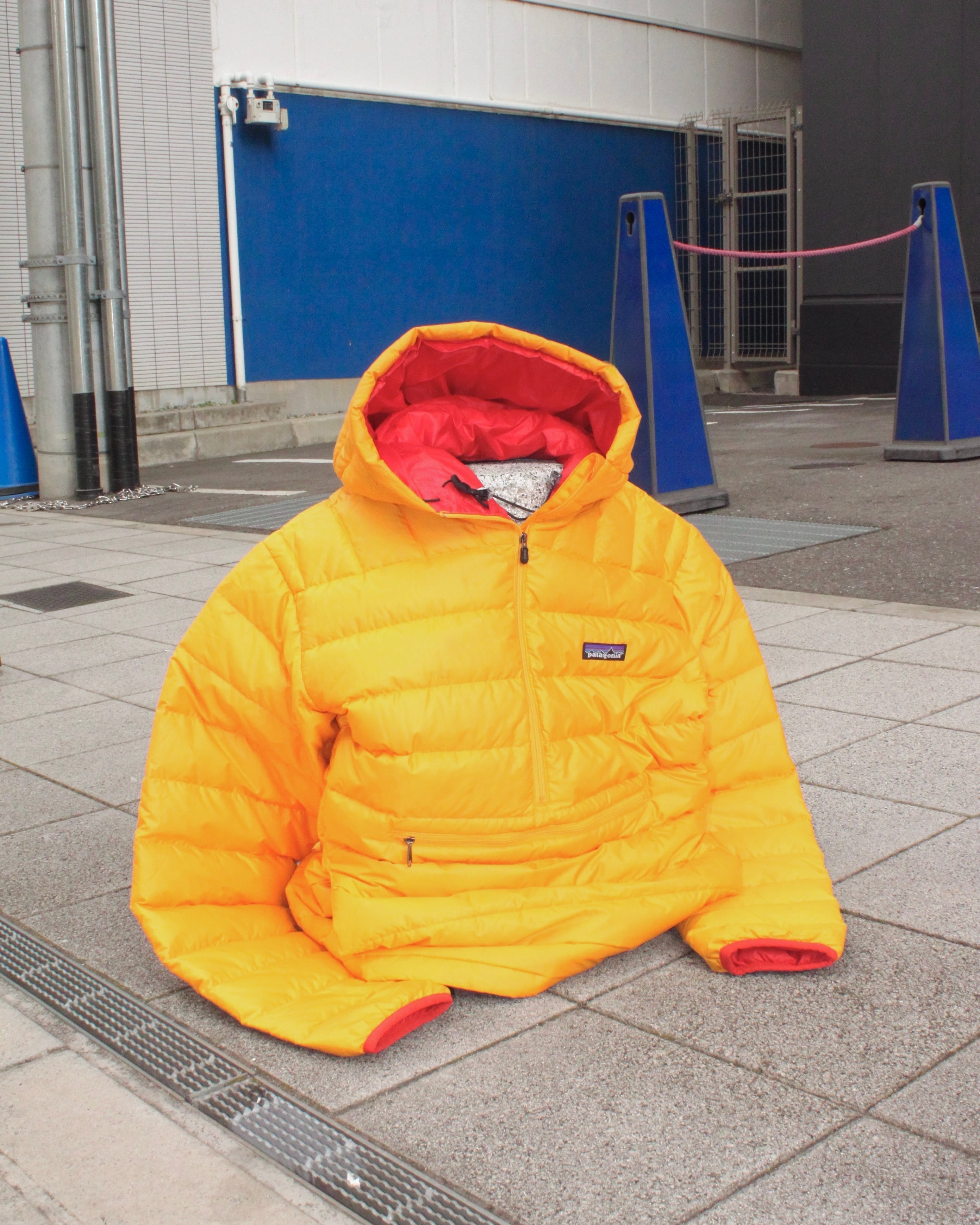 00s(2007)Patagonia Down Sweater Pullover Hoodie