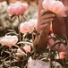 フローラル｜BLOOM GRACE — ブルームグレース