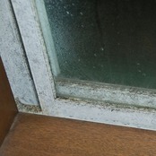 日本ミラコン産業 ゴムパッキンのカビ取り サッシ用シリコンカビ取り 50g MS-119