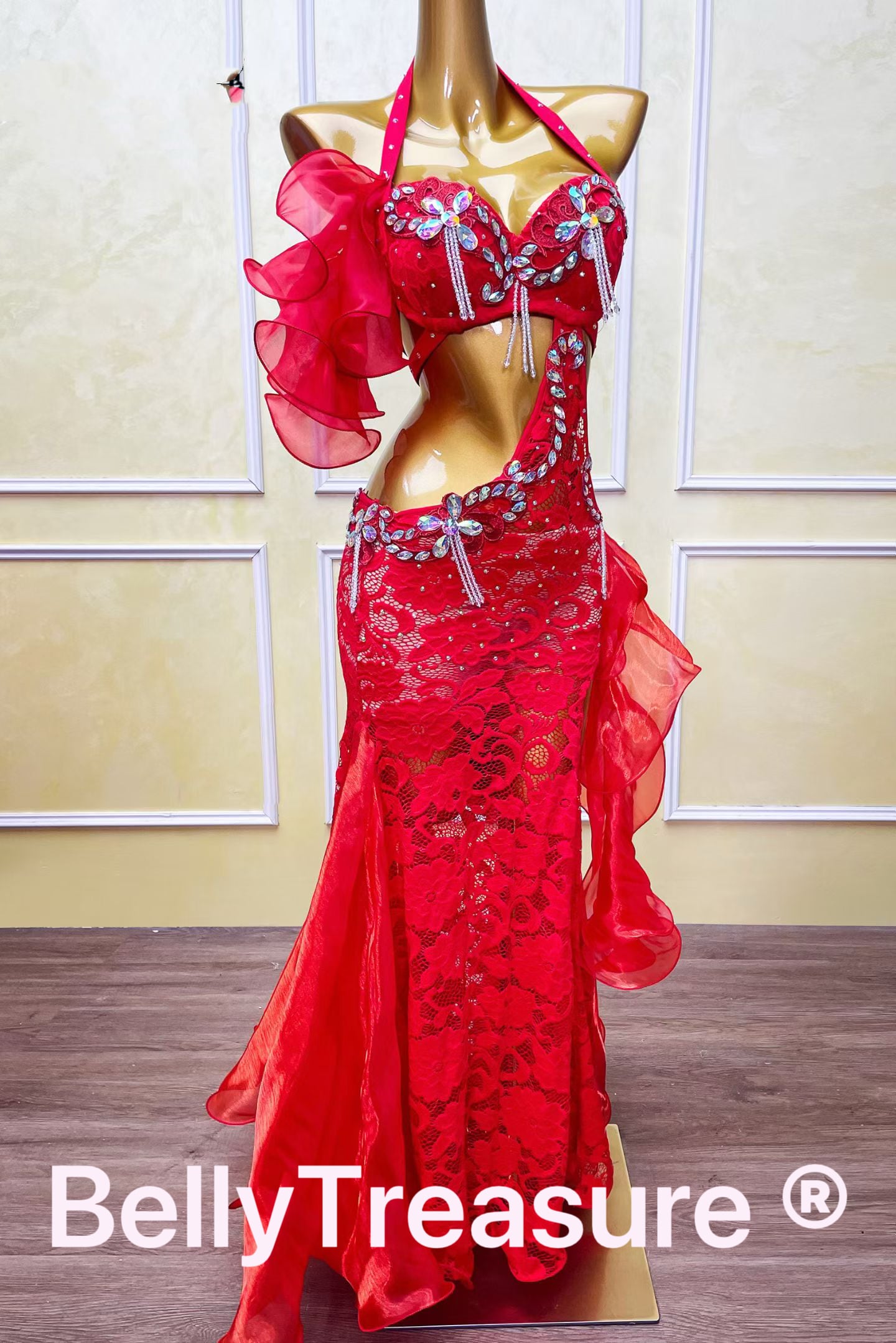 2カラー ベリーダンス衣装 WZY 209 202508