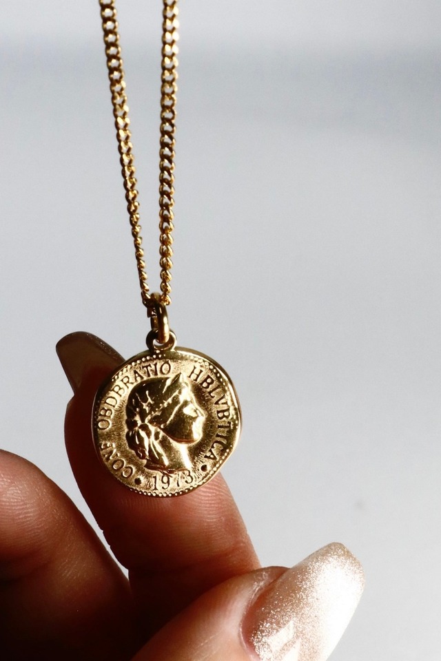 23a-F46 [stainless coin necklace]