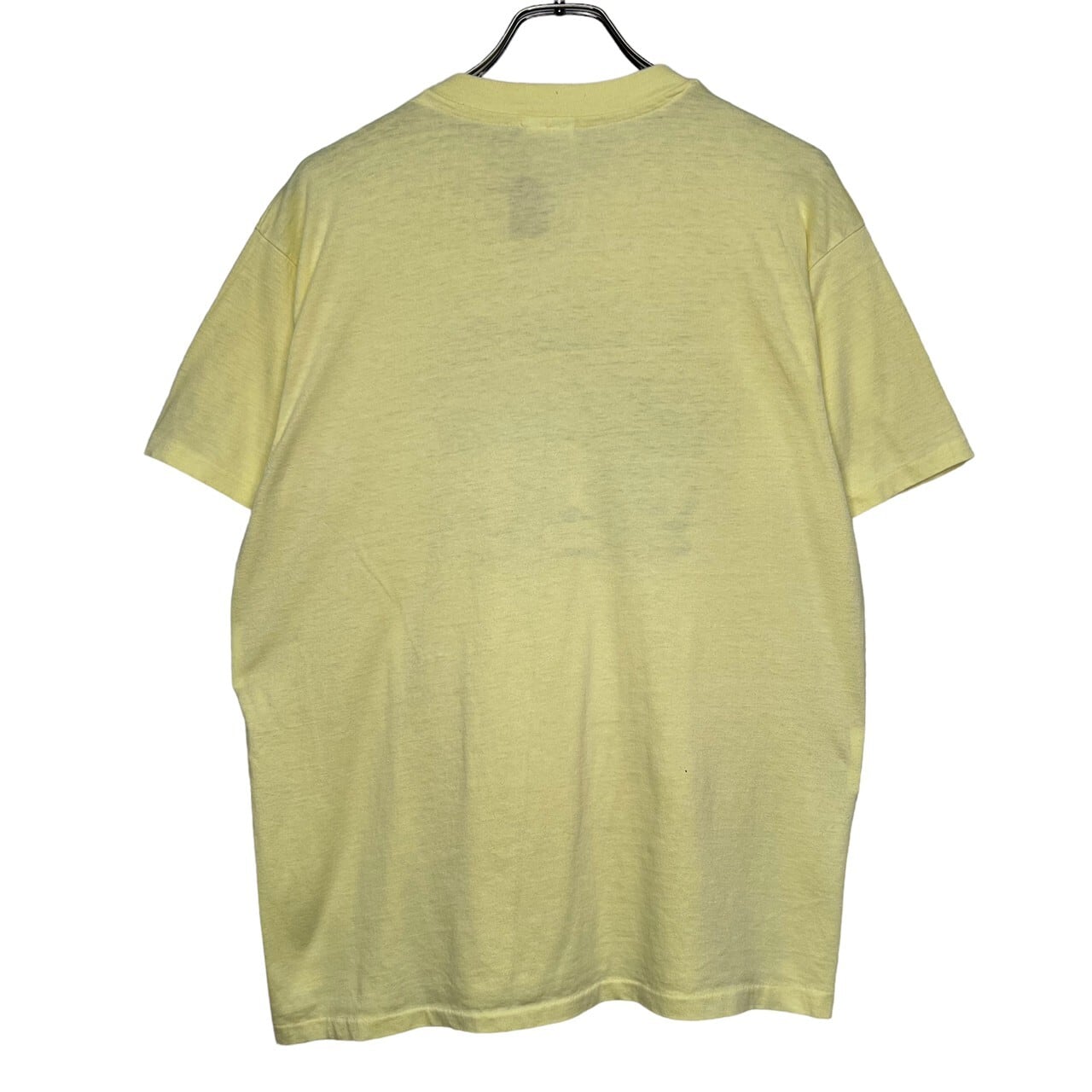 Vintage Al Green 半袖Tシャツ Hanes ビンテージ プリント 90's】Hanes 半袖Tシャツ XL 50/50 Vintage プリント | 古着屋OLDGREEN