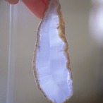 Aquatic Bird 02 - アゲートヒーリングチャイム / Agate Healing Chime 1127