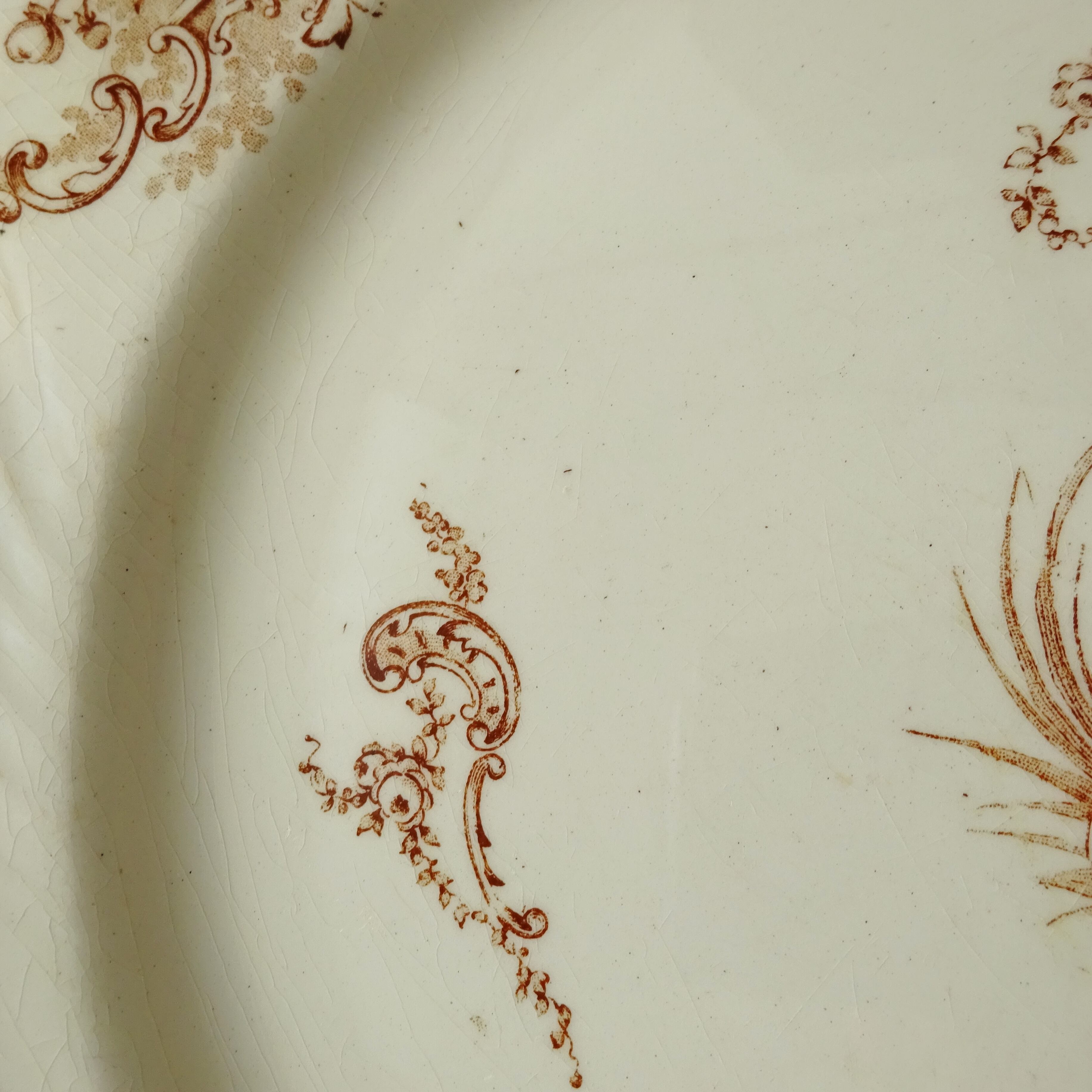 KG Lunéville  modèle《Rocaille》Assiette plate (A)