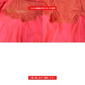 社交ダンス 衣装 PASTIME パスタイム ドレス ワンピース スタンダード ピンク系 レッド系 朱色 ピンク 赤 フリル レース 花柄 フロート ダンス パーティ 発表会 デモ レディース フラワー ダンス衣装 ふんわり