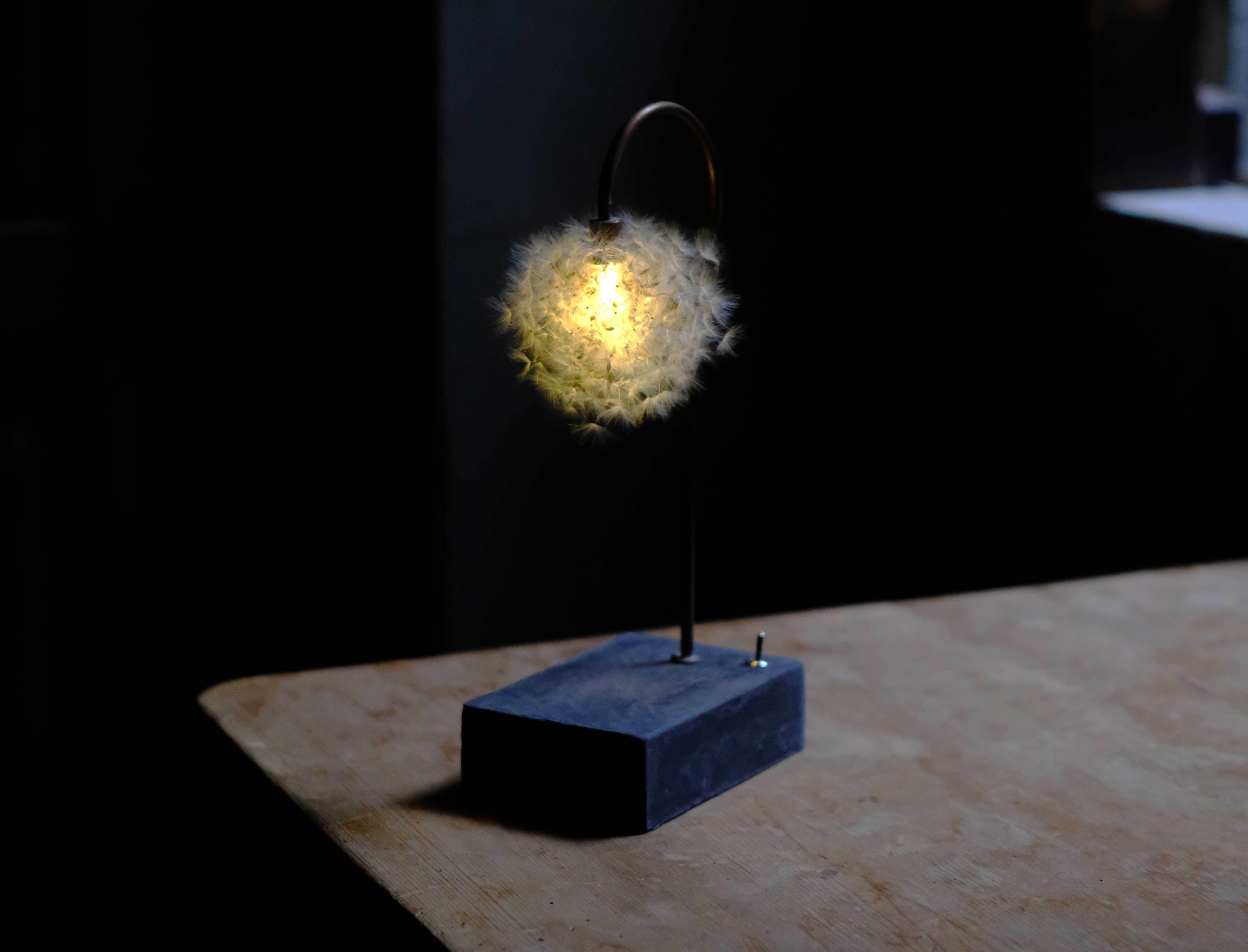 LAMP/照明・ランプ | はいいろオオカミ＋花屋西別府商店