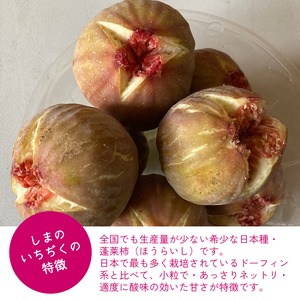※訳あってお得です【尾道特産・秋の味覚！しまのいちぢく】5パック