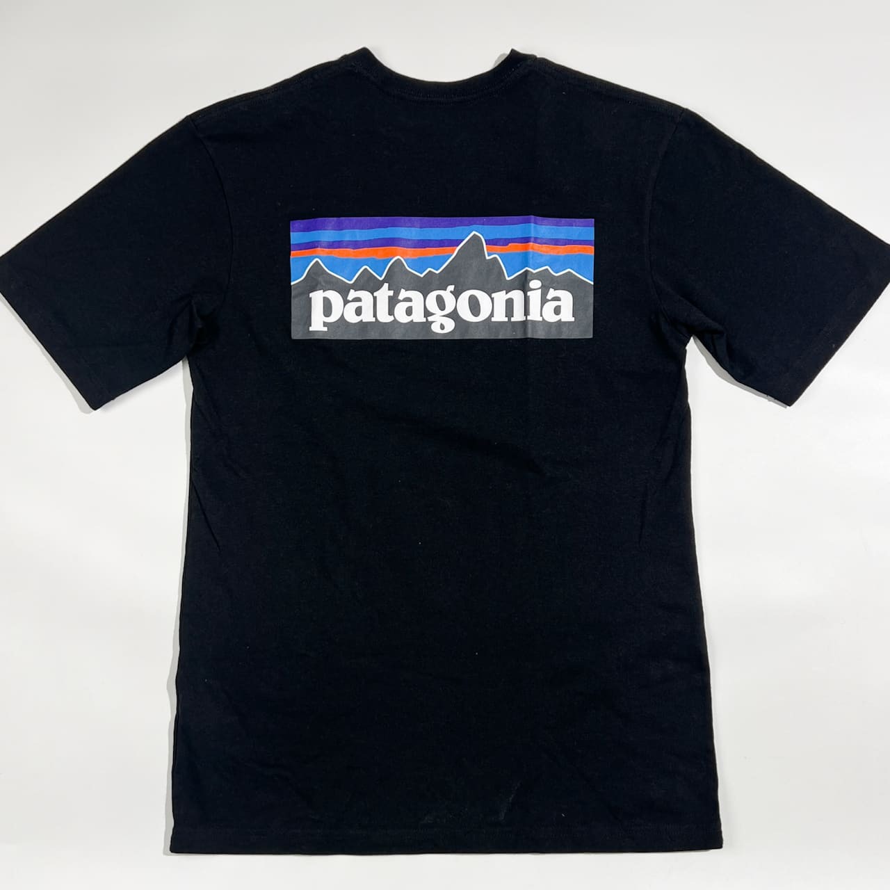 patagonia パタゴニア REGURAR FIT バック プリント 半袖 Tシャツ サイズ XS/ブラック系 メンズ アウトドア