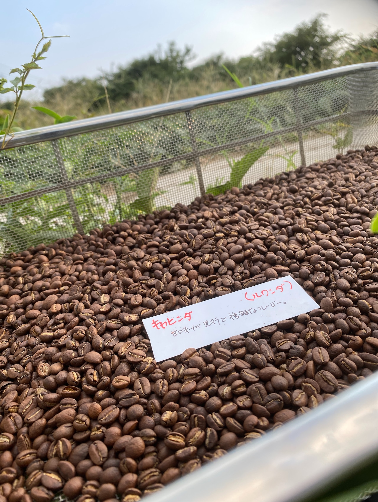キャヒンダ 100g(ルワンダ)