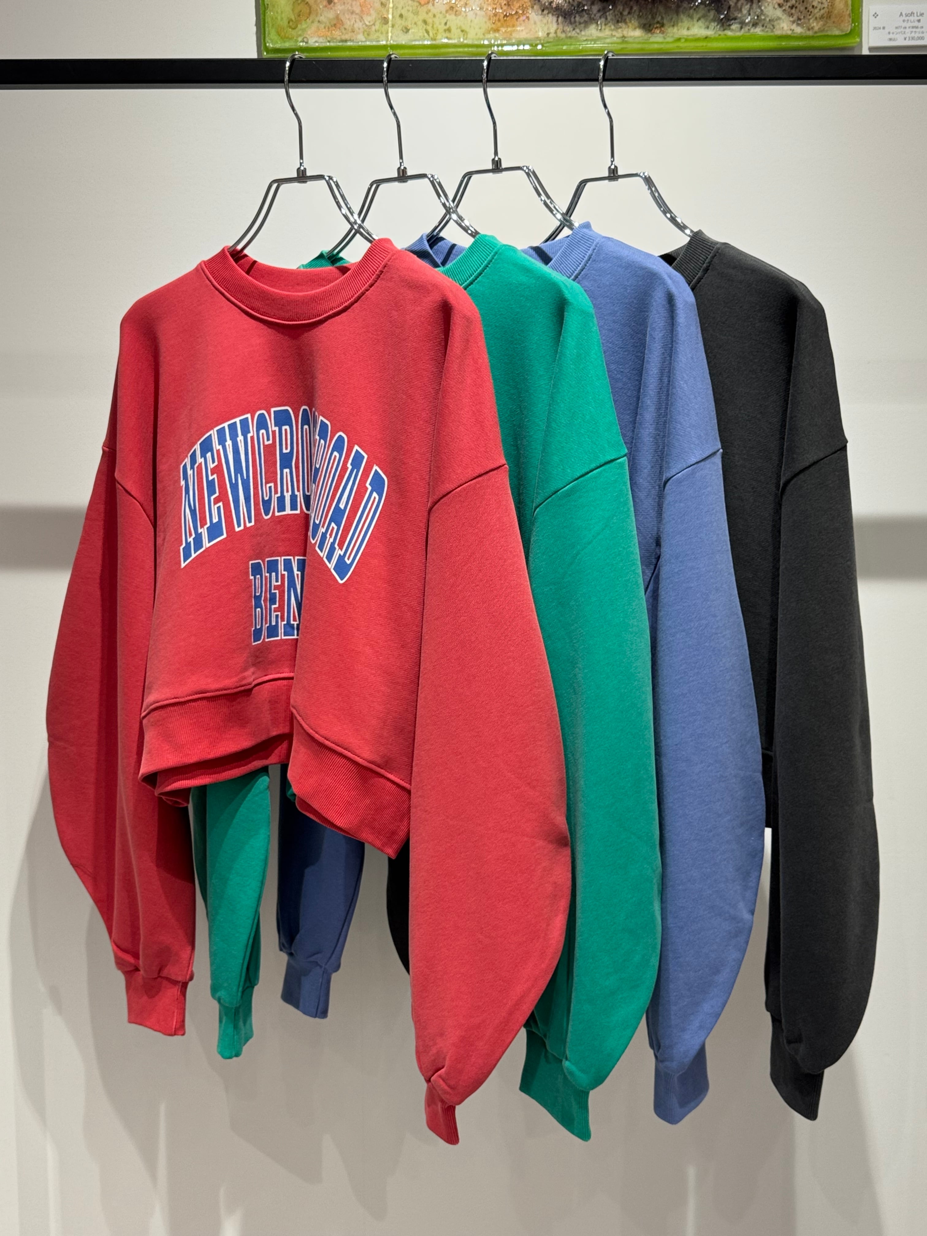 college logo cropped wide sweat