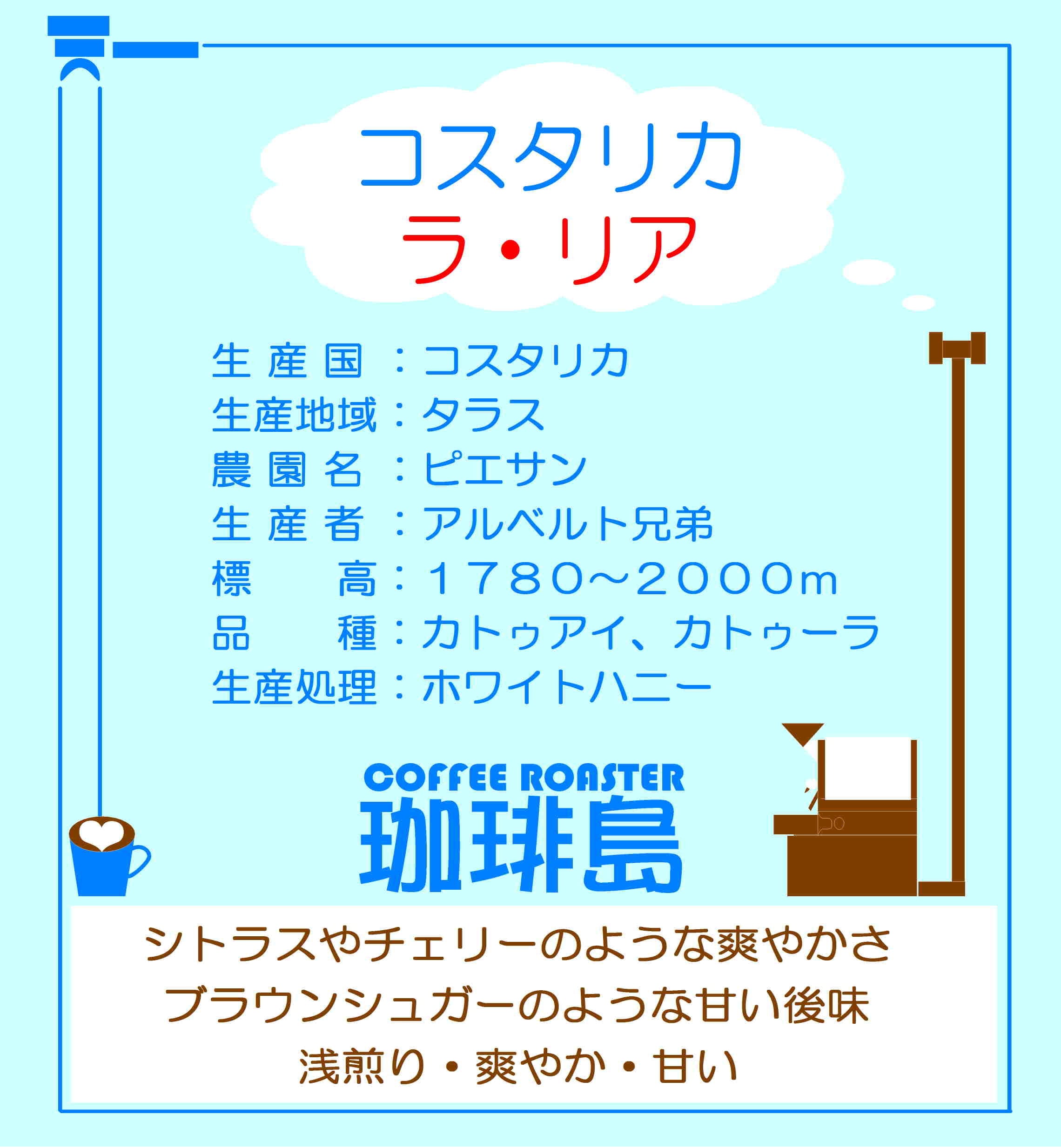 250g】コスタリカ ラ・リア | 珈琲島