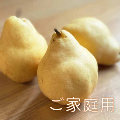 【ご家庭用】Le Lectier 2kg