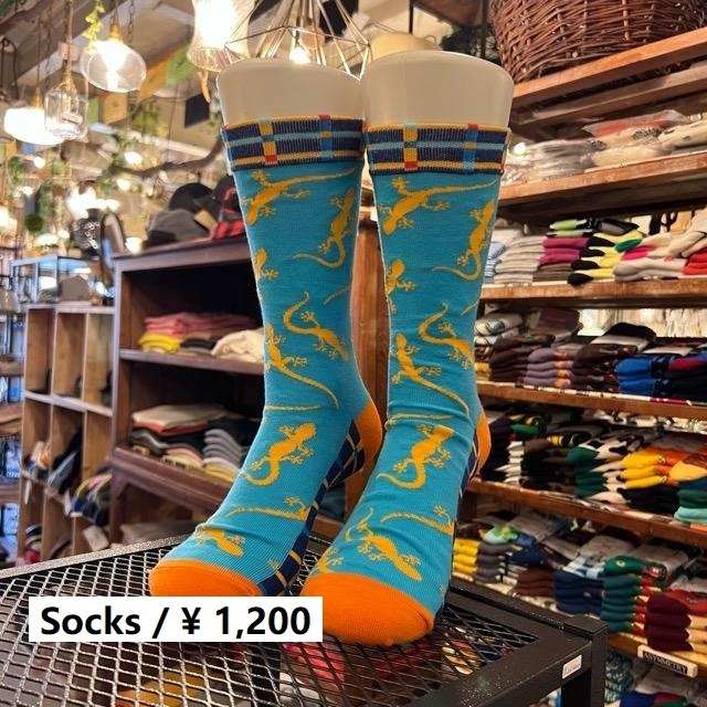 TOPANGA SOCKS Men's　とかげソックス