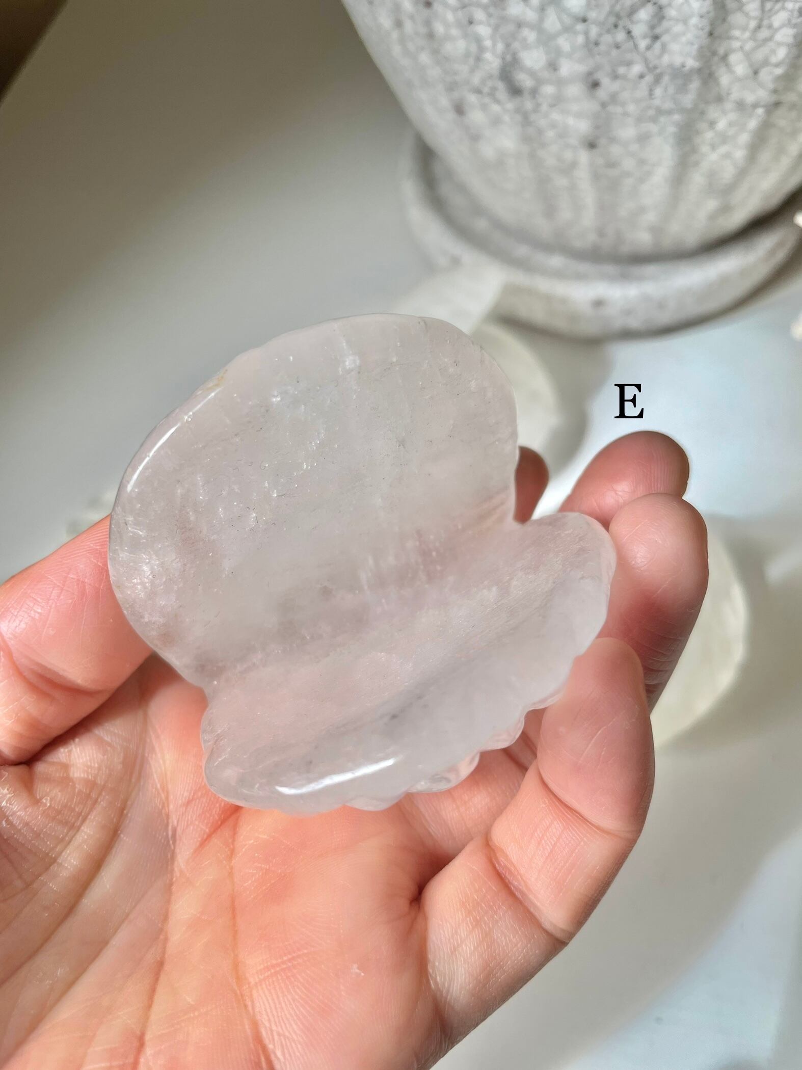 Crystal Shell / 水晶　貝