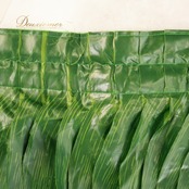 フラダンス 衣装 ティーリーフスカート グリーン系 タヒチアン 緑 葉っぱ 葉 紐 パウケース セット スカート ハワイアン アロハ 花柄 ピンク系 フラ ダンス レッスン 練習 フラダンス衣装 ティーリーフ スカート 伸縮性なし 鮮やか 紐仕様