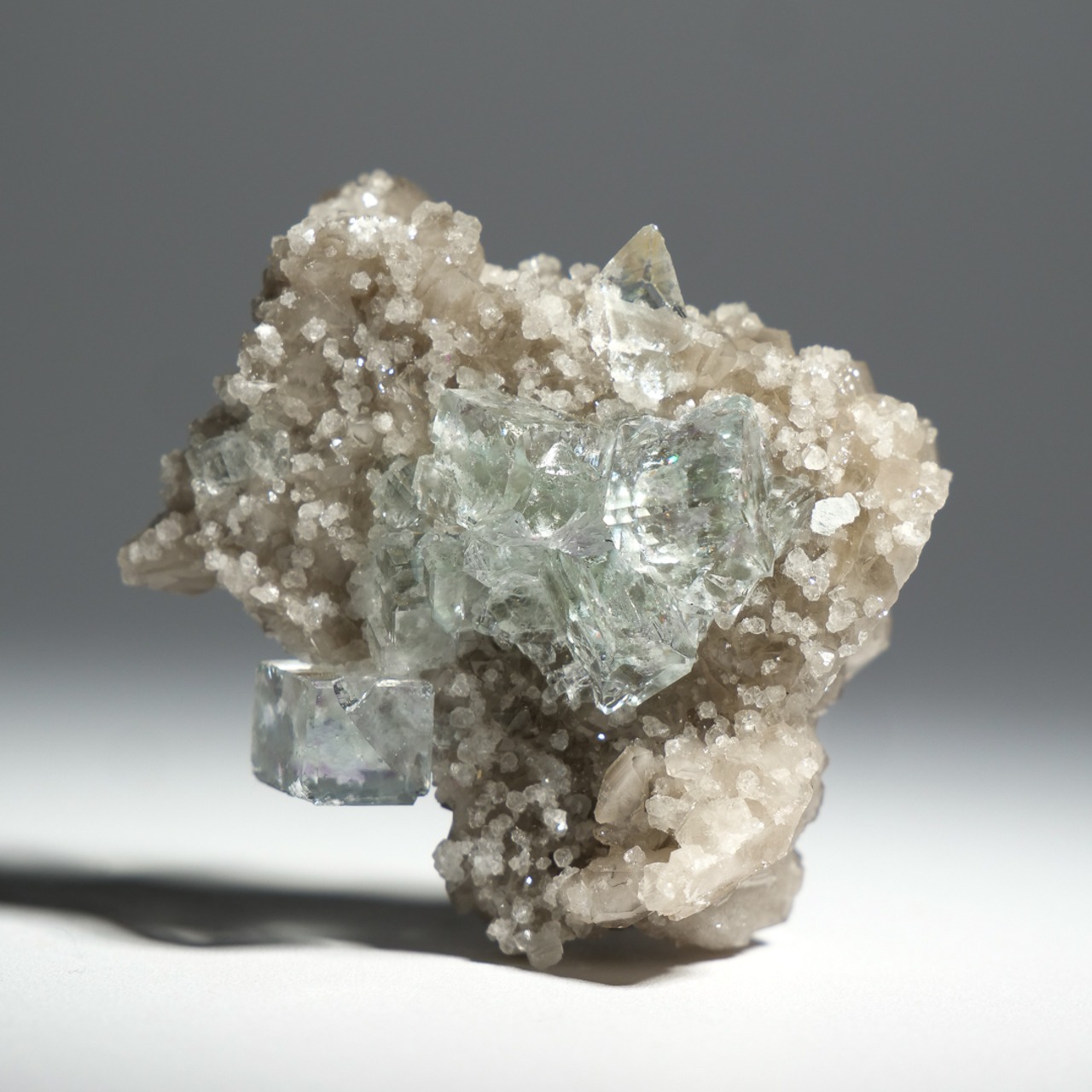 シャンファーリン産 フローライト スモーキークォーツ 共生 / 原石 標本【D_2】