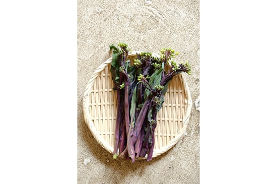 【中国菜花】紅菜苔・100g(2/27発送開始)