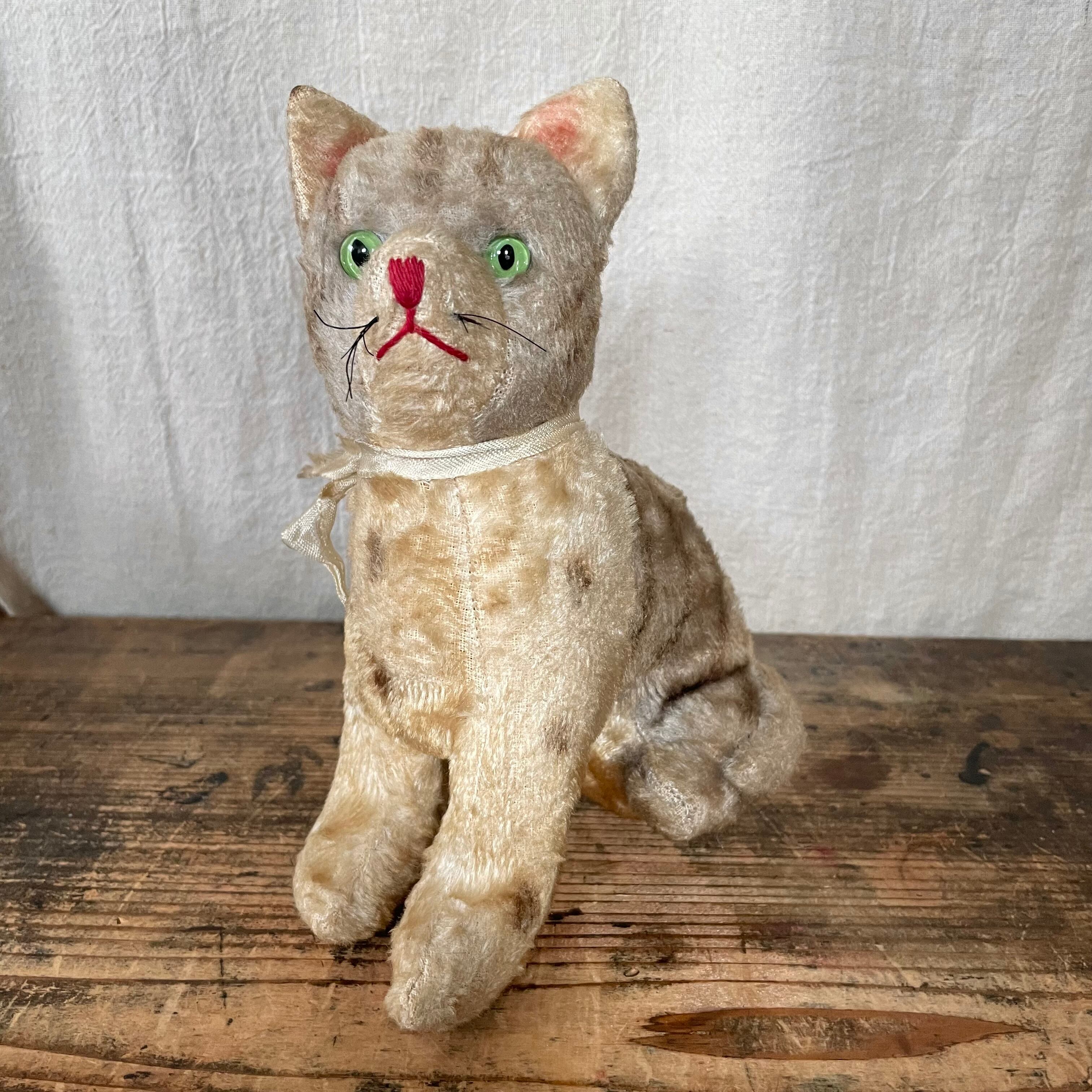 グリーンの目のネコ