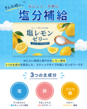 sinca.ism 塩レモンゼリー 15g× 30包入