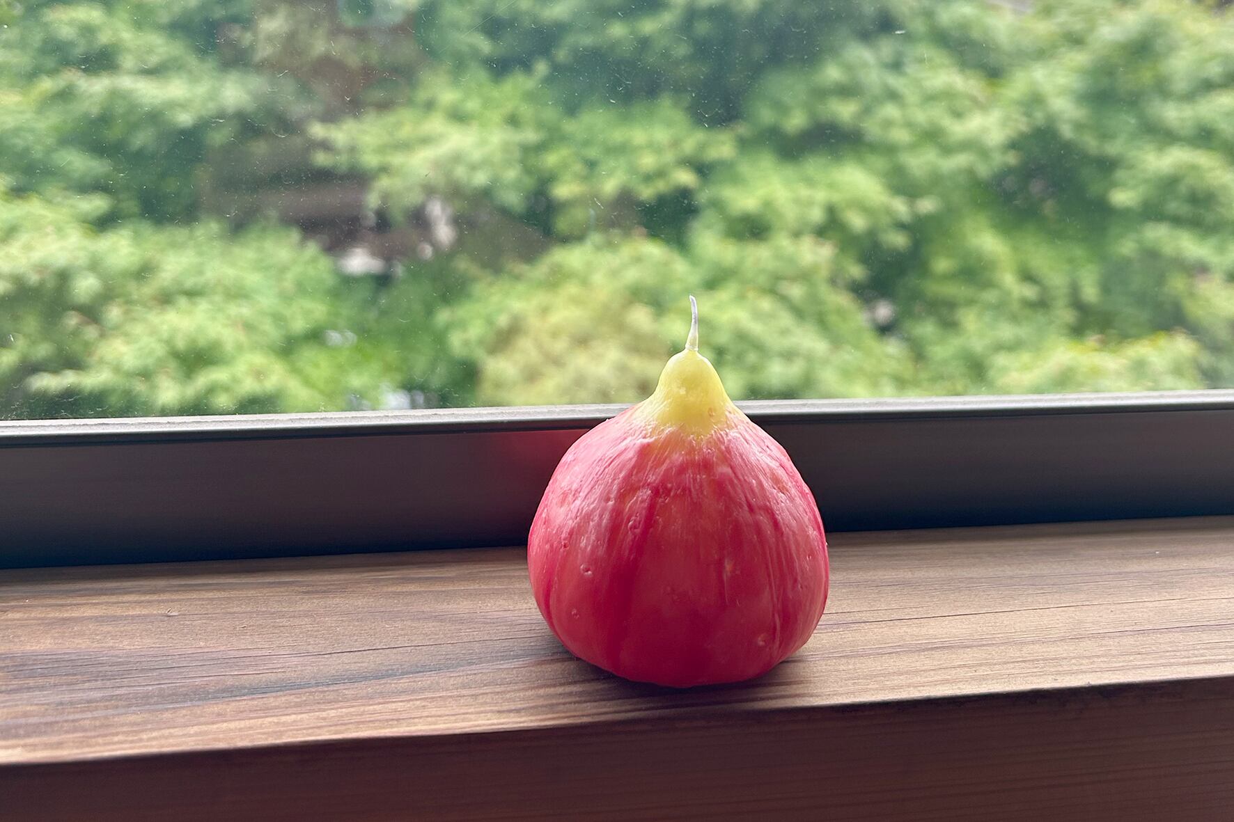 果物のキャンドル】いちじく | ひいらぎキャンドル