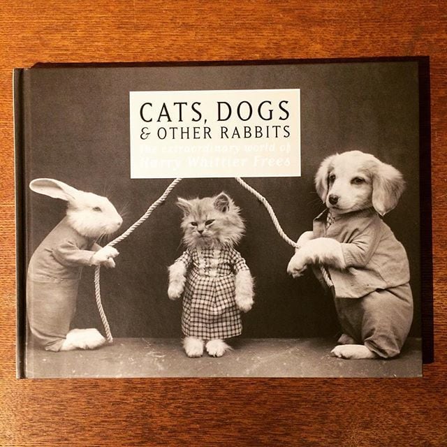 写真集「Cats, Dogs & Other Rabbits／Harry Whittier Frees」 - 画像1