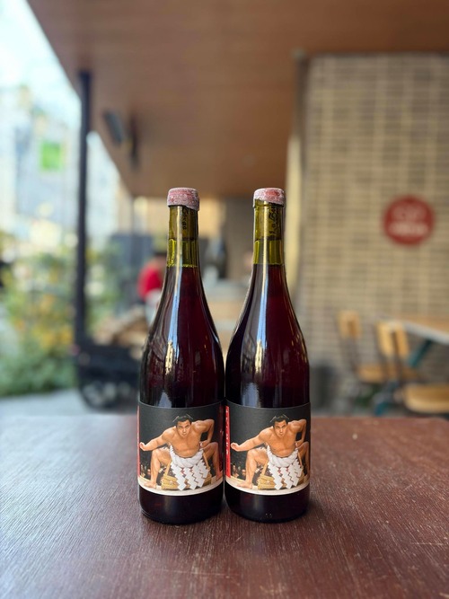 2023 CHIYONOFUJI / LA SORGA 【フランス・ラングドックルーション】