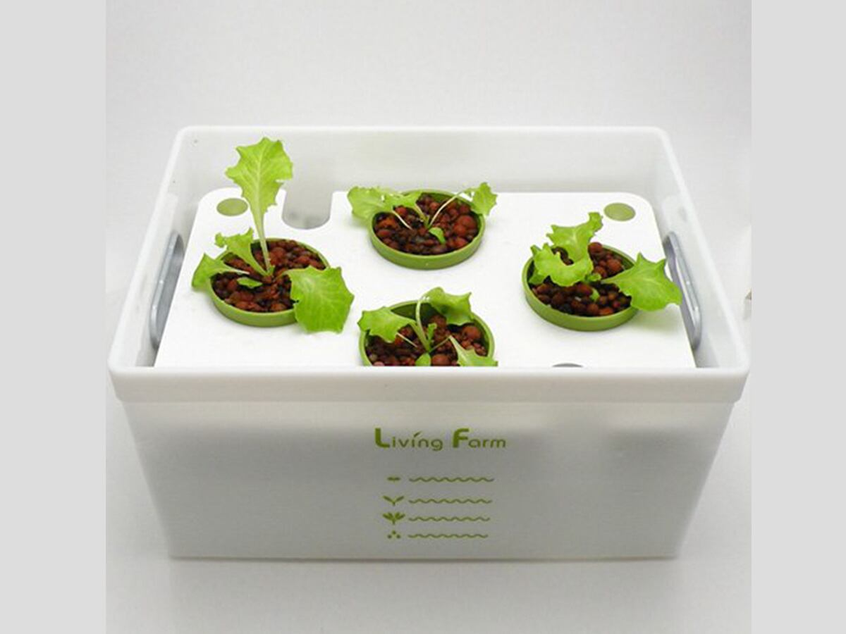 室内栽培水耕栽培ココ土耕 Flawless 注文 Finish 4L 室内栽培水耕栽培