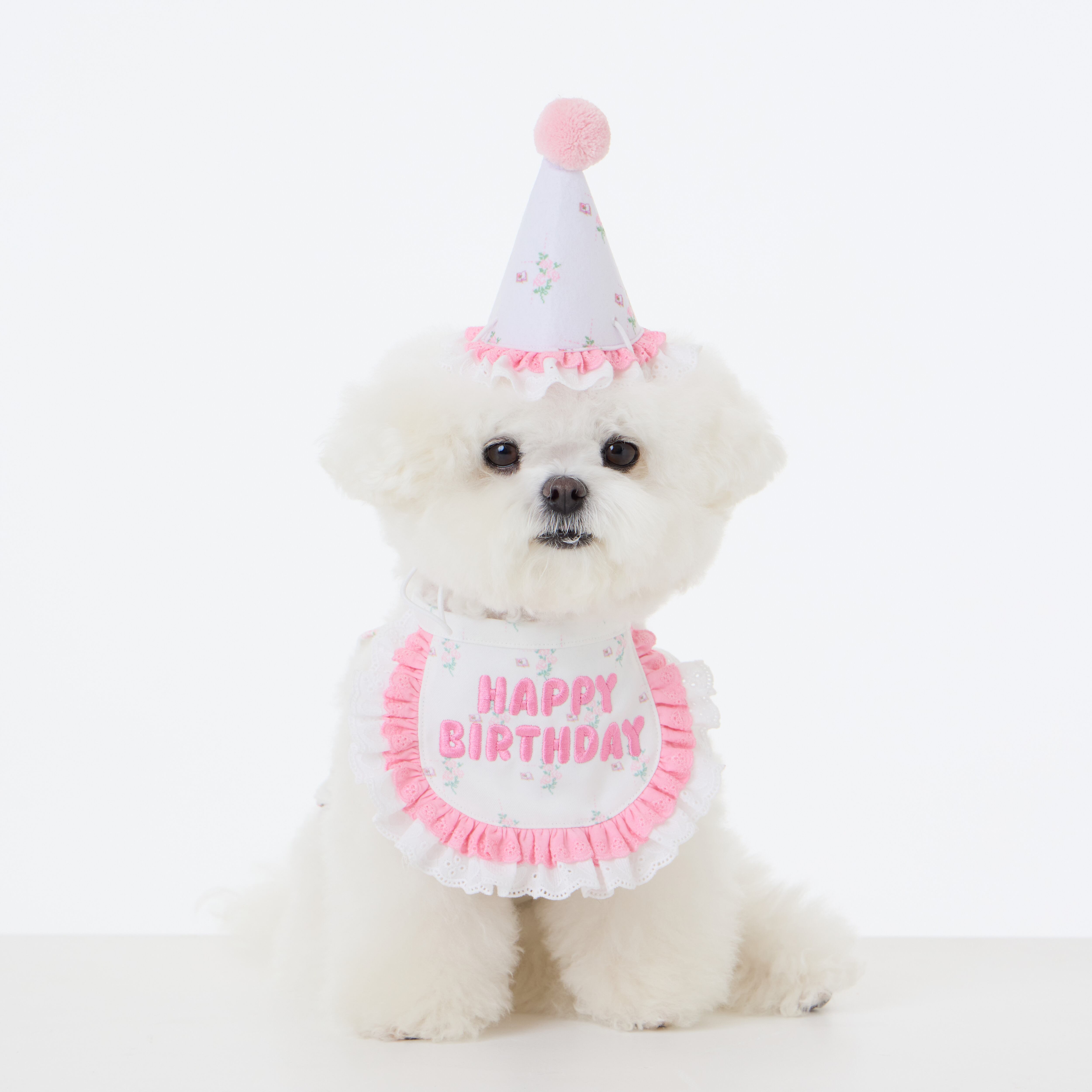 即納【PEBBLES】PEBBLES x BOCBOK B-DAY PARTY KIT (REVERSIBLE)