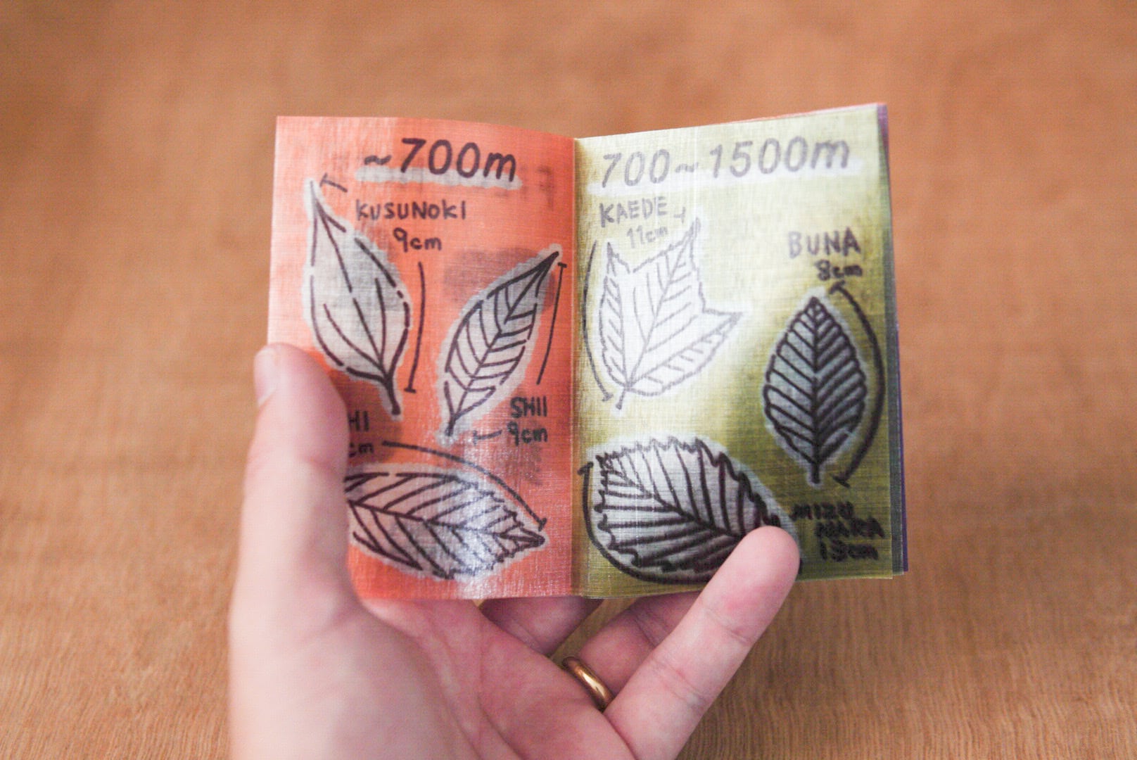 Upper Zip SACK M [OOPS HIKER] | permandbaton