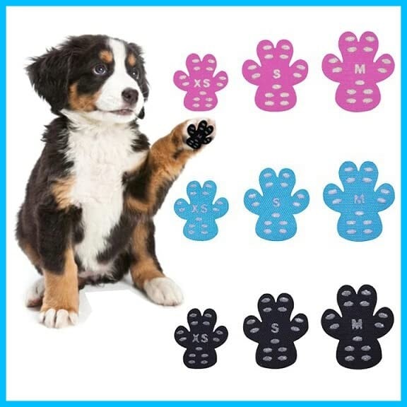 7日間レンタル】エルデ ペット用自動血圧計（犬猫用） | Pay ID