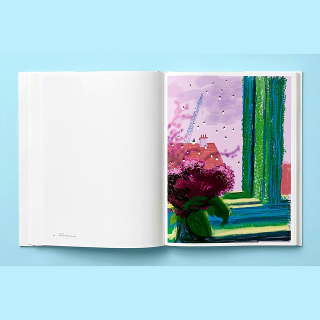 David Hockney: My Window