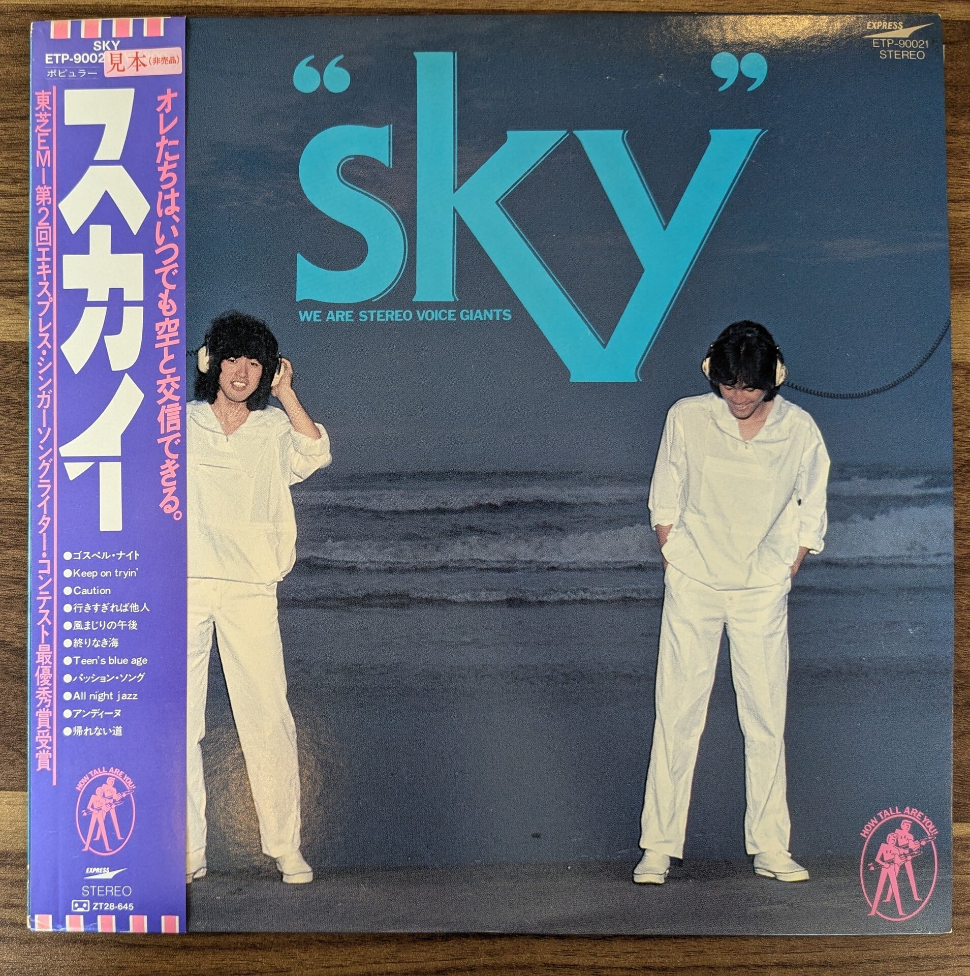 中川勝彦「してみたい」：LPレコード | 音とこだま