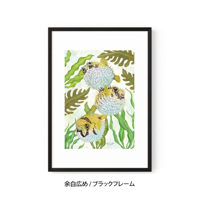 A2｜ぷくぷくハリセンボン（フレームあり）