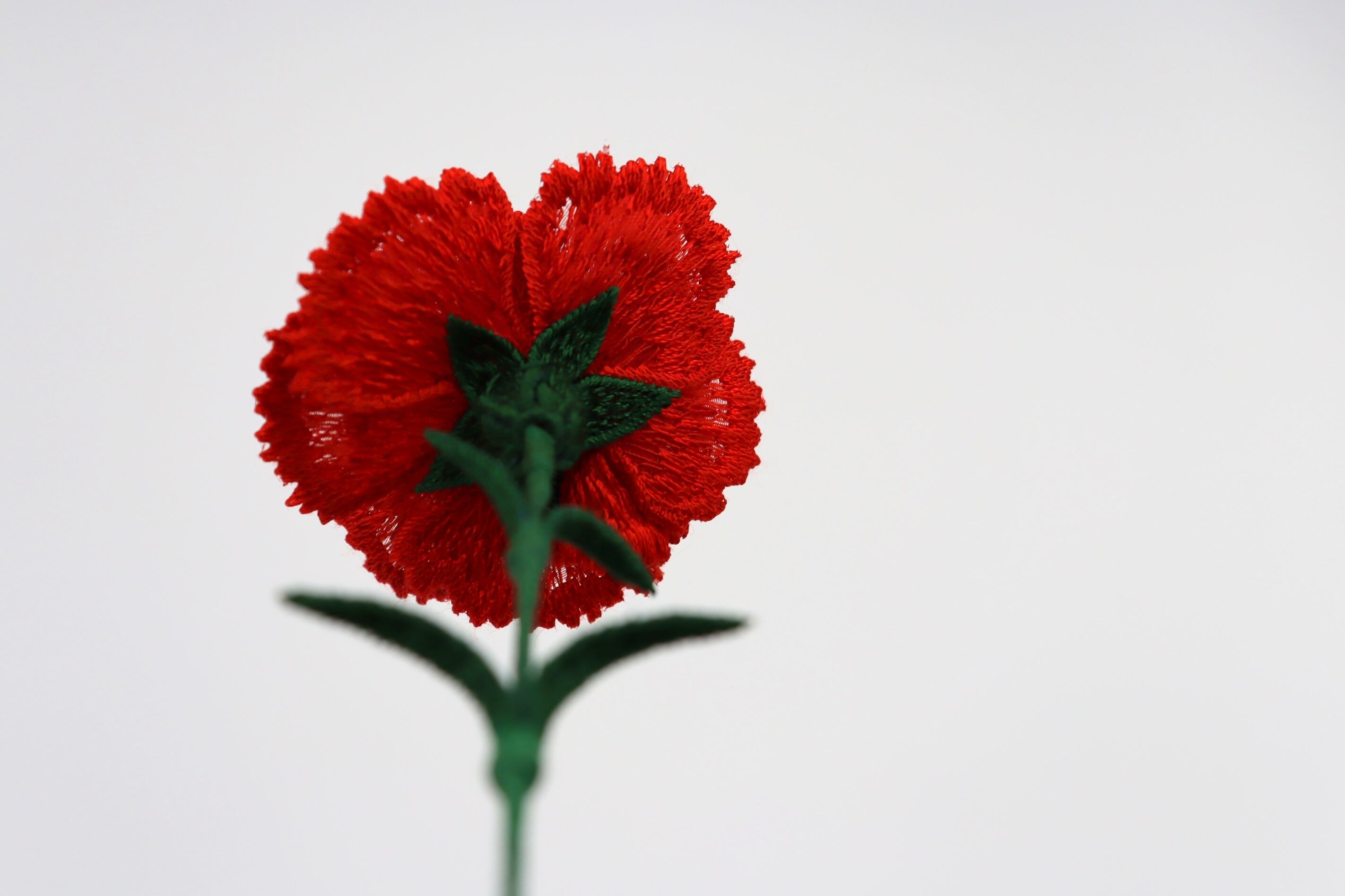 thread Flower】カーネーション／オズボーン | 塚野刺繍株式会社